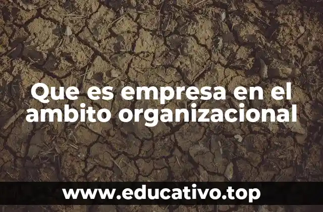 Que es empresa en el ambito organizacional