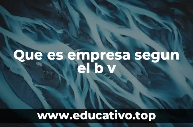 Que es empresa segun el b v