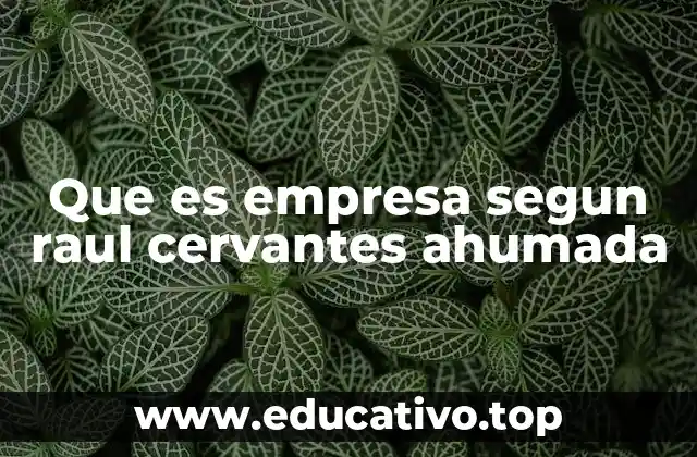 Que es empresa segun raul cervantes ahumada