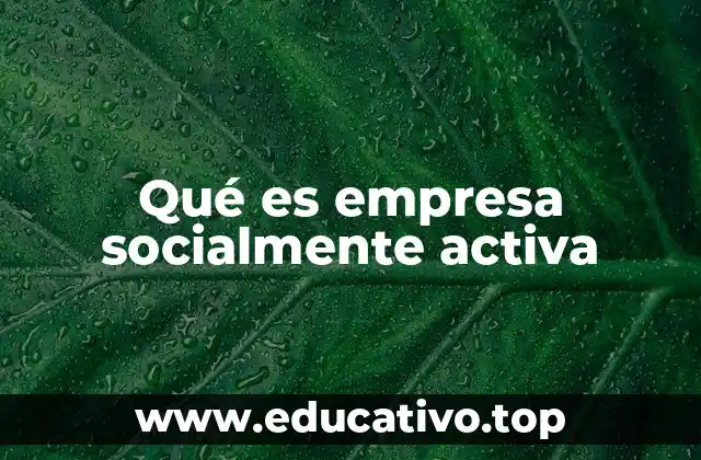 Qué es empresa socialmente activa