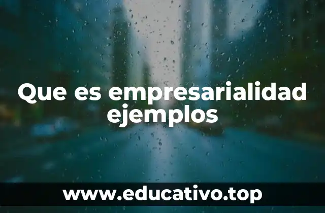 Que es empresarialidad ejemplos