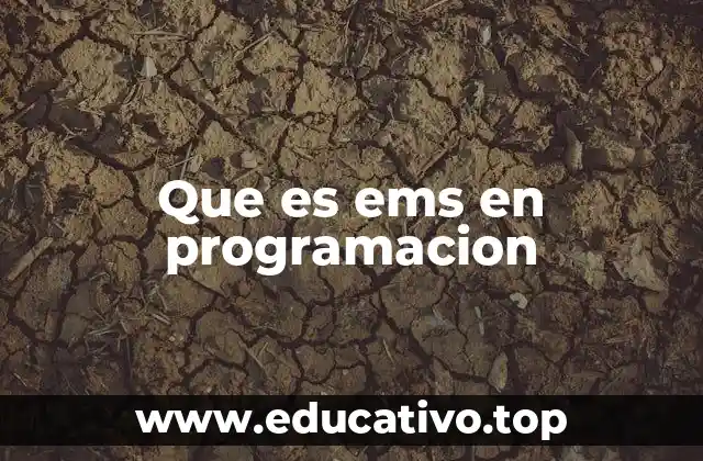 Que es ems en programacion