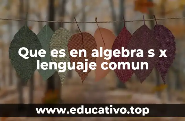 Que es en algebra s x lenguaje comun
