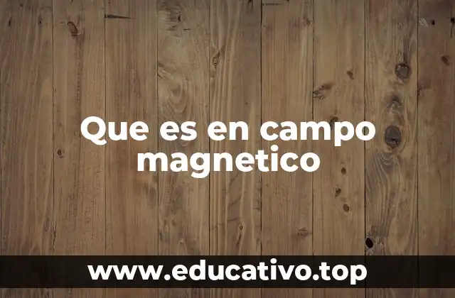 Que es en campo magnetico