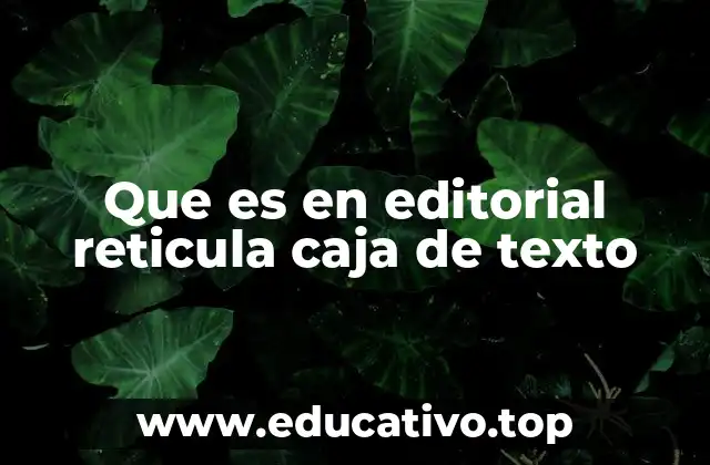 Que es en editorial reticula caja de texto