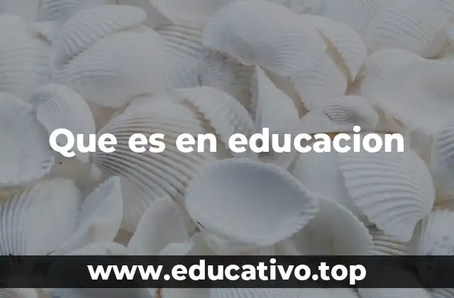 Que es en educacion