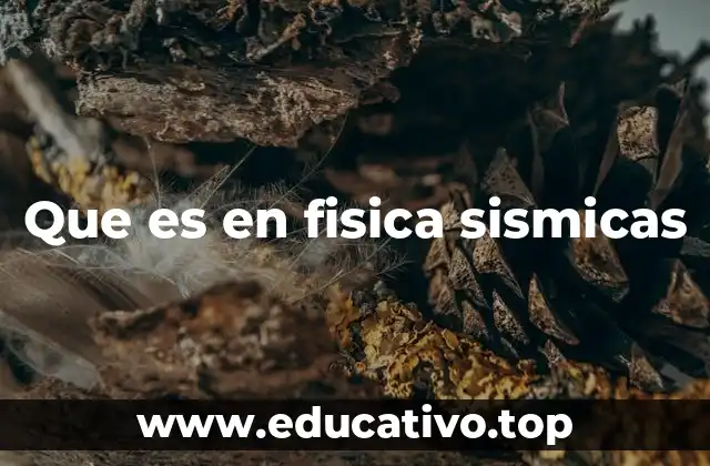 Que es en fisica sismicas