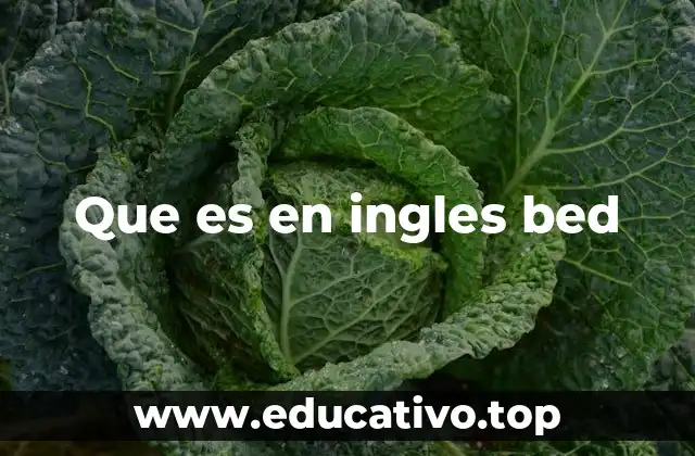 Que es en ingles bed