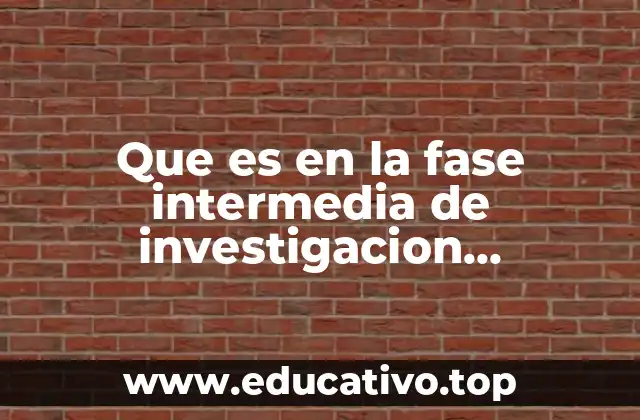 Que es en la fase intermedia de investigacion administrativa