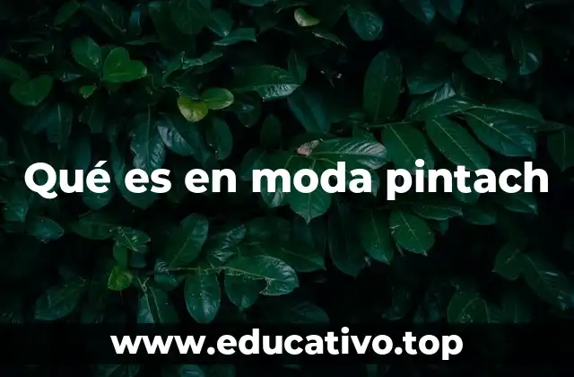 Qué es en moda pintach