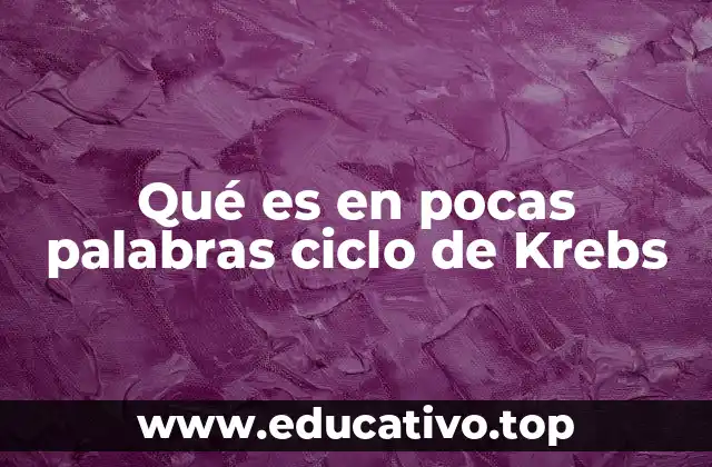 El papel del ciclo de Krebs en la producción de energía celular