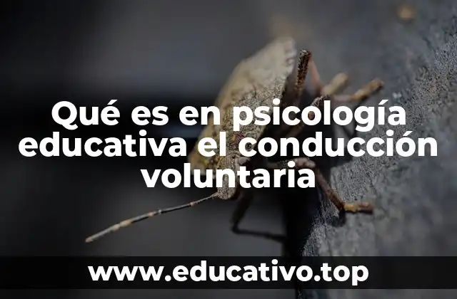 Qué es en psicología educativa el conducción voluntaria