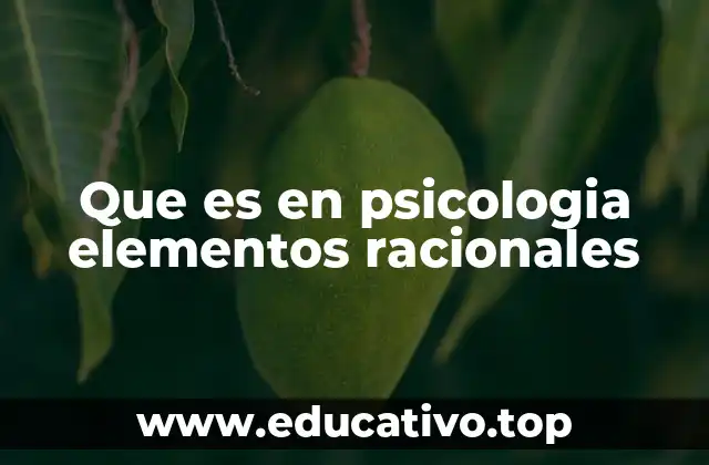 Que es en psicologia elementos racionales