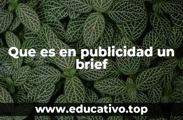 La importancia del brief en la planificación publicitaria
