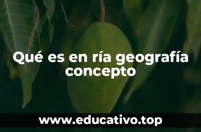 Qué es en ría geografía concepto
