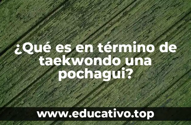 ¿Qué es en término de taekwondo una pochagui?