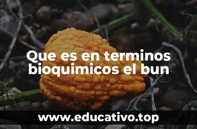 Que es en terminos bioquimicos el bun