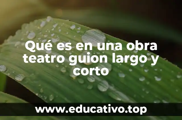 Qué es en una obra teatro guion largo y corto