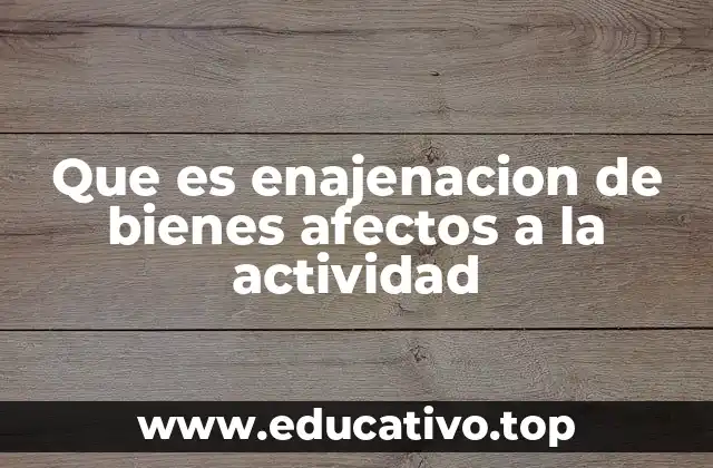 Que es enajenacion de bienes afectos a la actividad