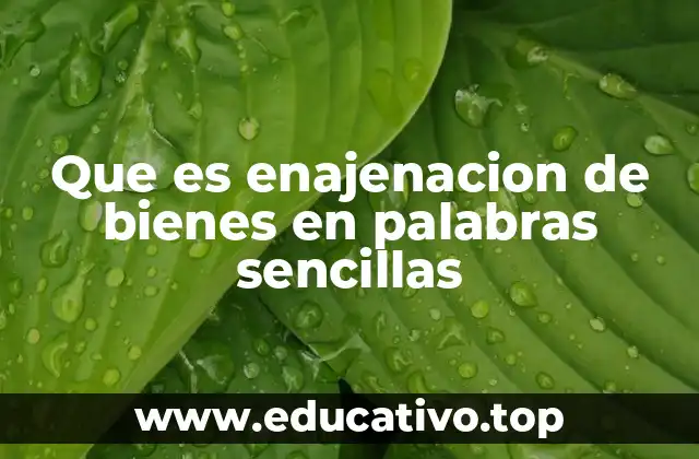 Que es enajenacion de bienes en palabras sencillas