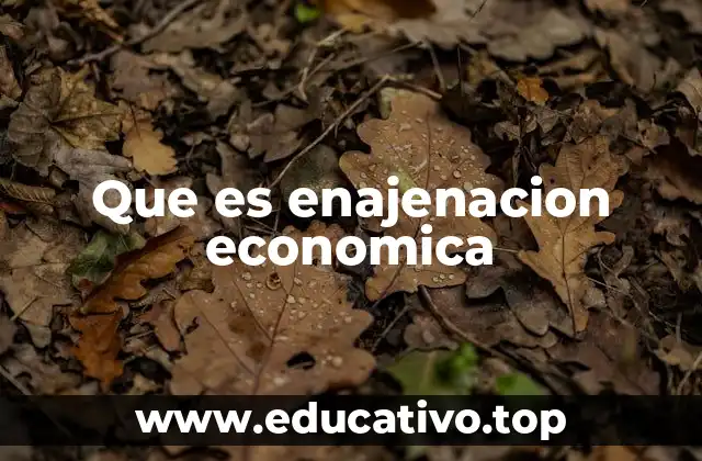 Que es enajenacion economica