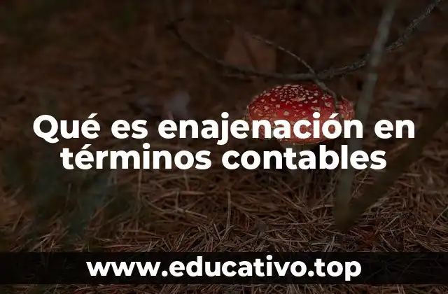 Qué es enajenación en términos contables