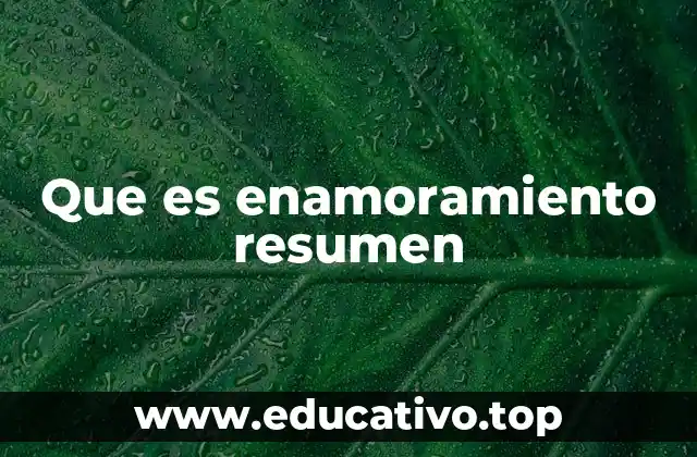 Que es enamoramiento resumen