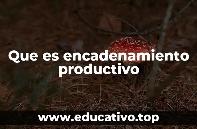 Que es encadenamiento productivo