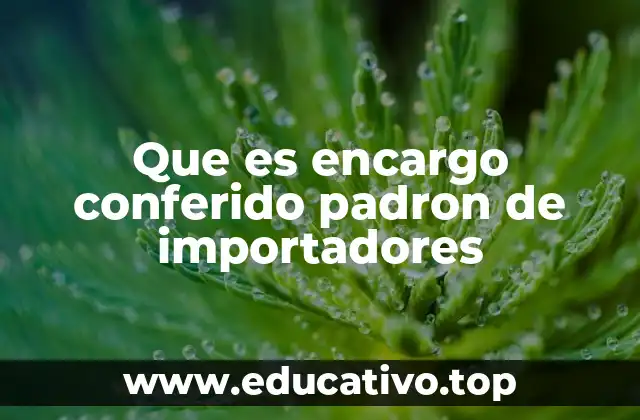 Que es encargo conferido padron de importadores