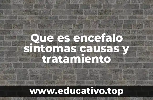 Que es encefalo sintomas causas y tratamiento