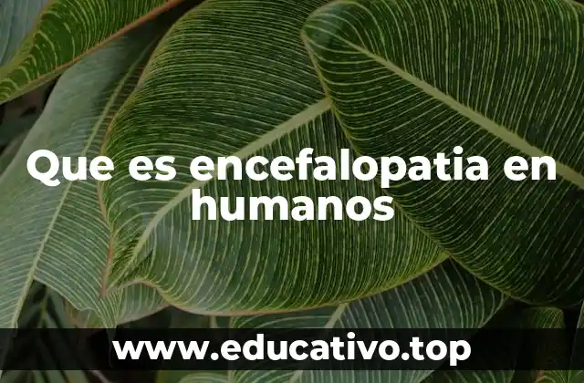 Que es encefalopatia en humanos