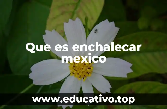 Que es enchalecar mexico