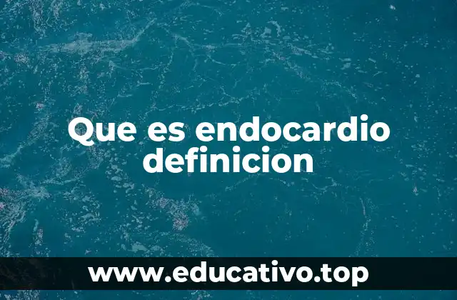 Que es endocardio definicion