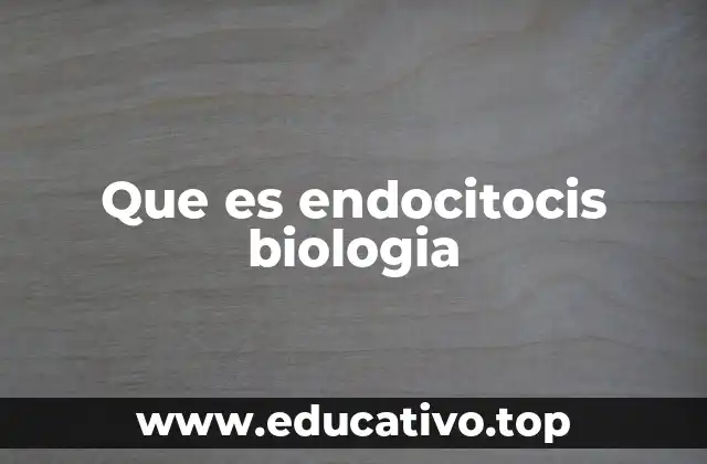 Que es endocitocis biologia