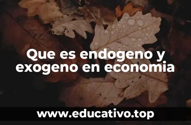 Que es endogeno y exogeno en economia