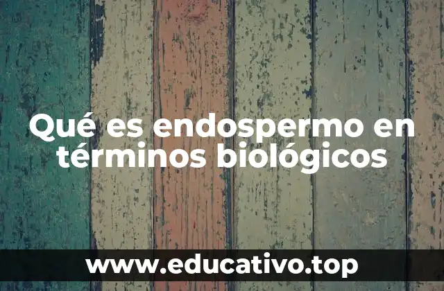 Qué es endospermo en términos biológicos