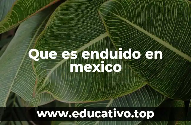 Que es enduido en mexico