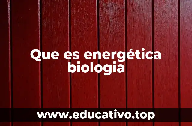 Que es energética biologia