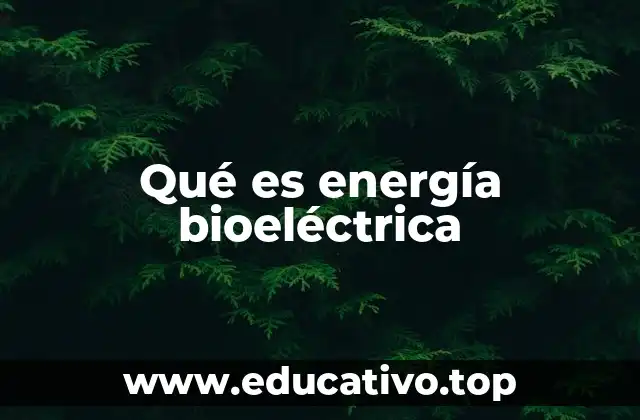 El papel de la energía bioeléctrica en la vida celular