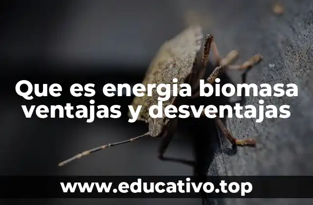 Que es energia biomasa ventajas y desventajas