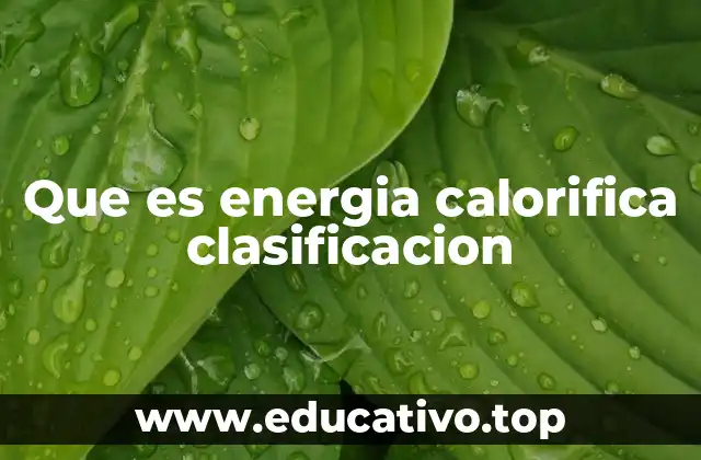 Que es energia calorifica clasificacion
