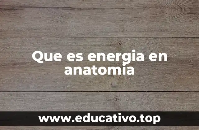 Que es energia en anatomia