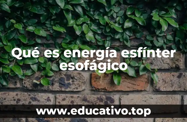 Qué es energía esfínter esofágico