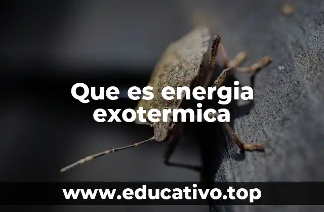 Que es energia exotermica
