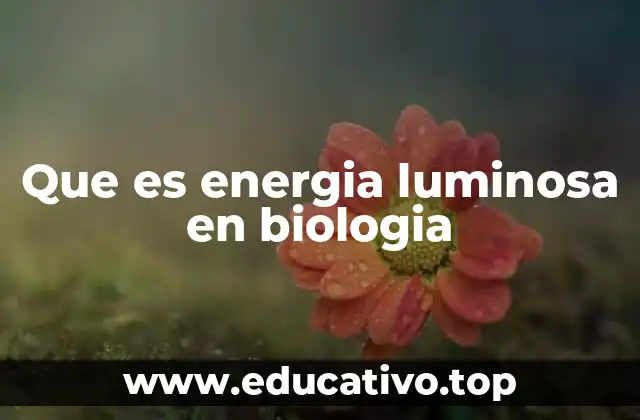Que es energia luminosa en biologia