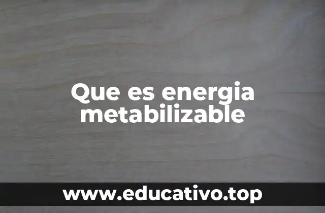 Cómo el cuerpo convierte los alimentos en energía