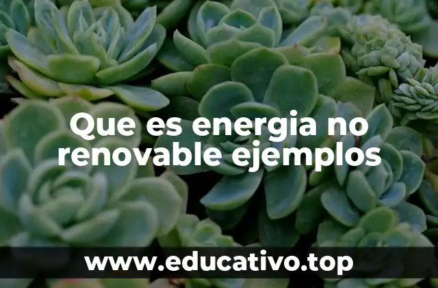 Que es energia no renovable ejemplos