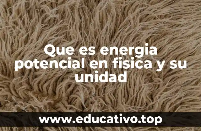 Que es energia potencial en fisica y su unidad