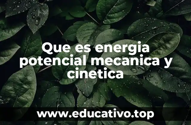 Que es energia potencial mecanica y cinetica