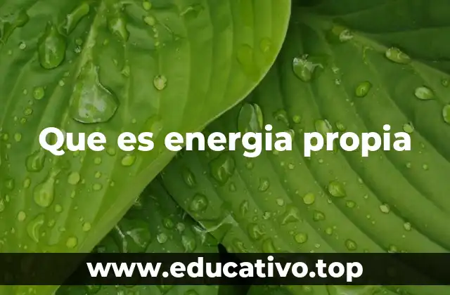 Que es energia propia